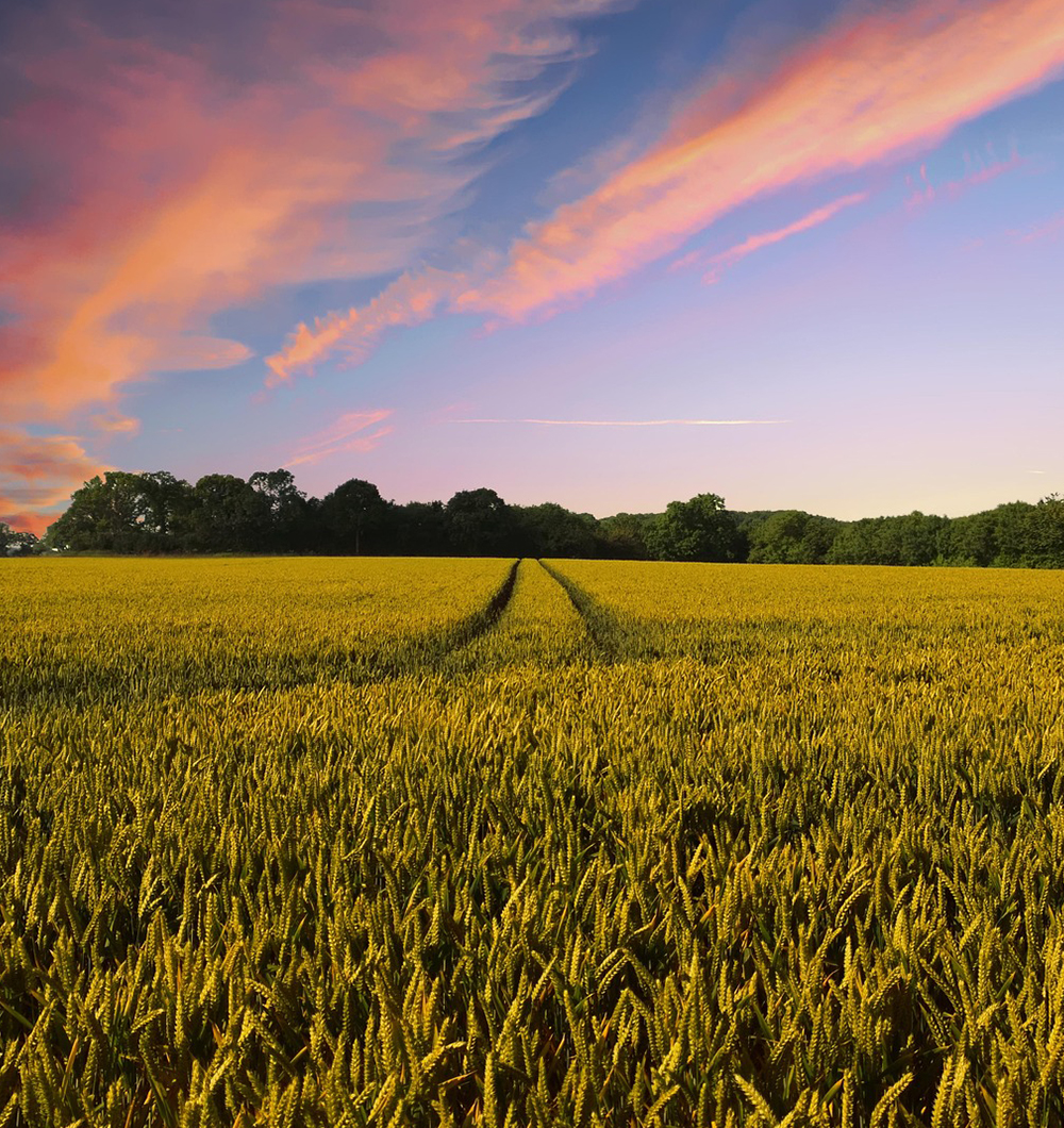 Regenerate Ohio Farms Grant