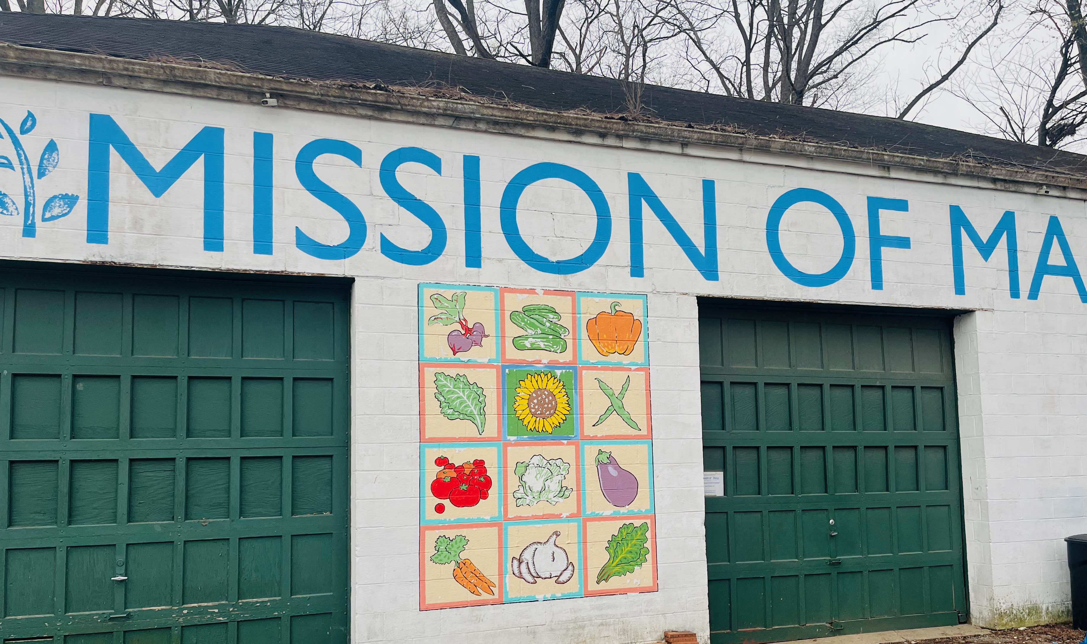 Mission of Mary