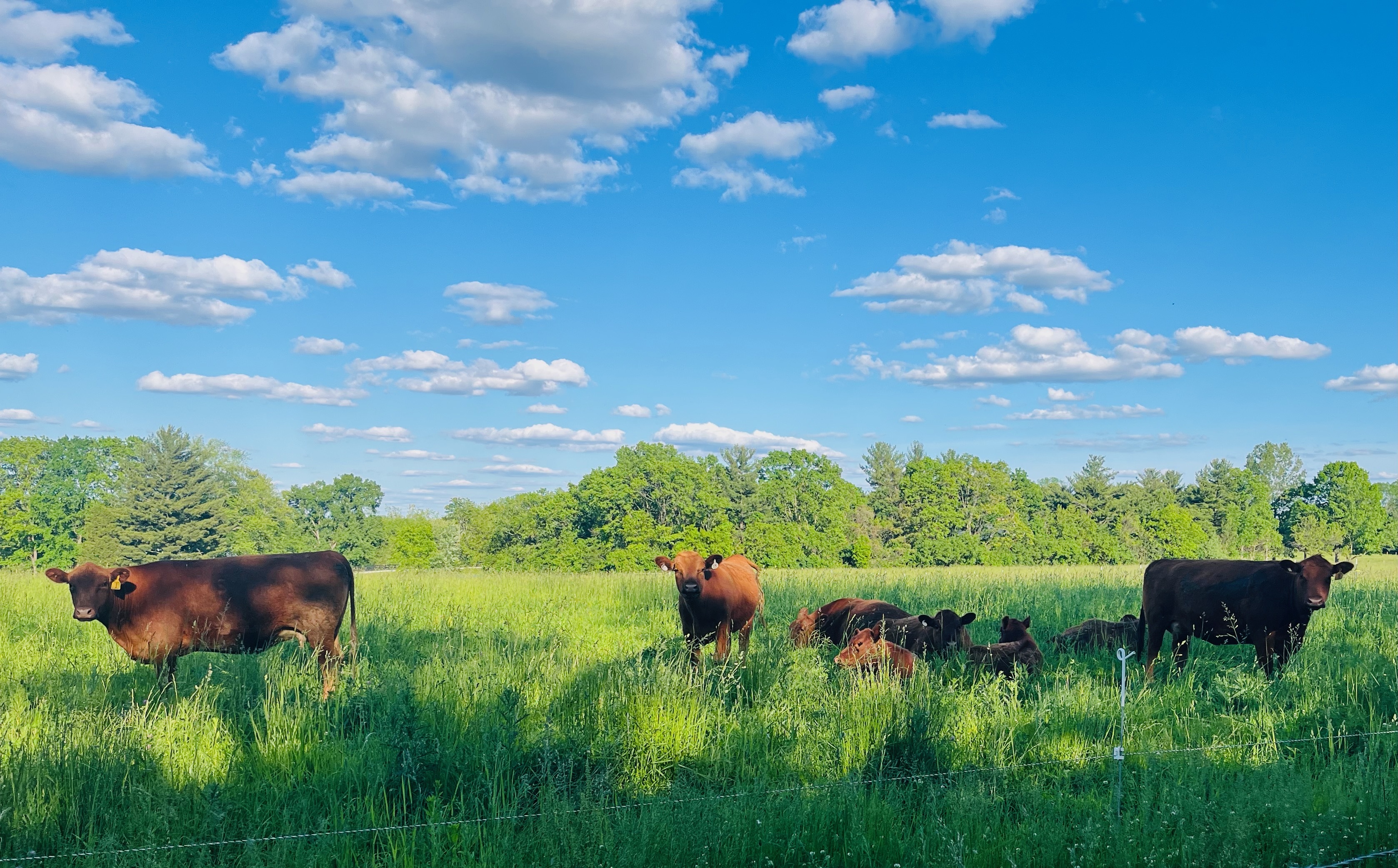 Regenerate Ohio Farms Grant