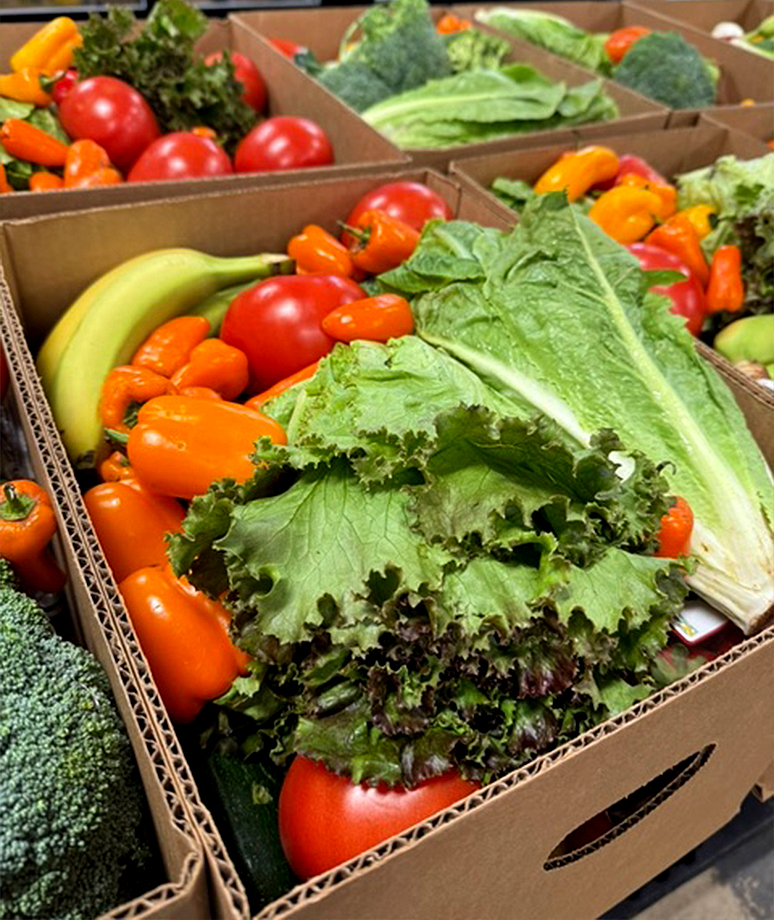 Emanuel Food Pantry